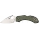 Spyderco Dragonfly G-10 Foliage Green