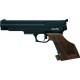 Gamo Compact