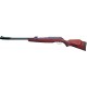 Gamo CFX Royal