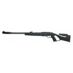 Gamo CFR Whisper IGT