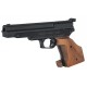 Gamo Compact