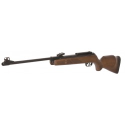 Gamo Hunter 440