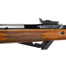 Carabina Diana 460 Magnum