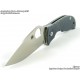 Spyderco Alcyone