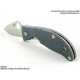 Spyderco Alcyone
