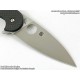 Spyderco Sliverax Compression Lock