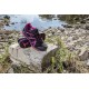 Zapatilla Haix Black Eagle Adventure 2.0 WS GTX Low Black-Magenta