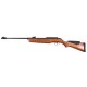 Gamo Hunter DX