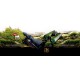 Visor Shilba Gold Medal 2.5-15x50 B4A IR