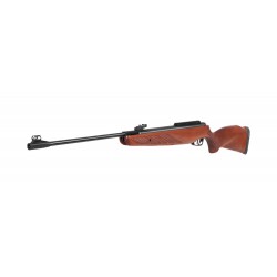 Gamo Hunter 1250 Grizzly