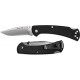 Buck 112 Slim Pro Lockback