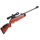 Gamo Hunter DX