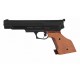 Gamo Compact