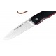 Nieto Mountain G10