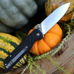 QSP Parrot Linerlock G10