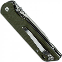 QSP Parrot Linerlock G10 Green