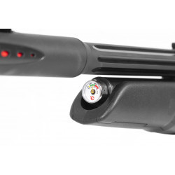 Gamo PCP Arrow