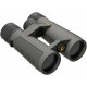 Prismáticos Leupold BX-5 Santiam HD 8x42