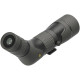 Telescopio Leupold SX-2 Alpine HD 20-60x60 - 45º