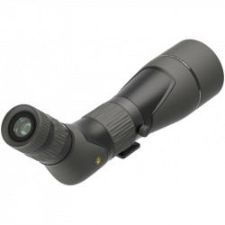 Telescopio Leupold SX-2 Alpine HD 20-60x80 - 45º