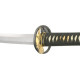 CAS Hanwei Tiger Elite Katana