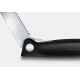 Victorinox Cuchillo de Picnic Classic Negro