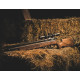 Crosman PCP Marauder Madera Regulador Integrado 5,5 mm