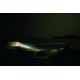 Linterna Led Lenser X21