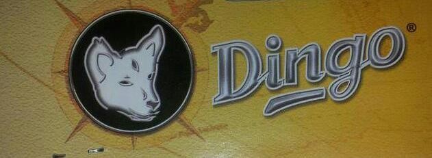 Dingo
